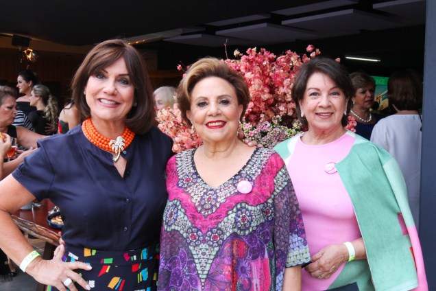 Ana Maria Gontijo Maria Therezinha Falcão e Heloisa Hargreaves Ana Maria Gontijo Maria Therezinha Falcão e Heloisa Hargreaves