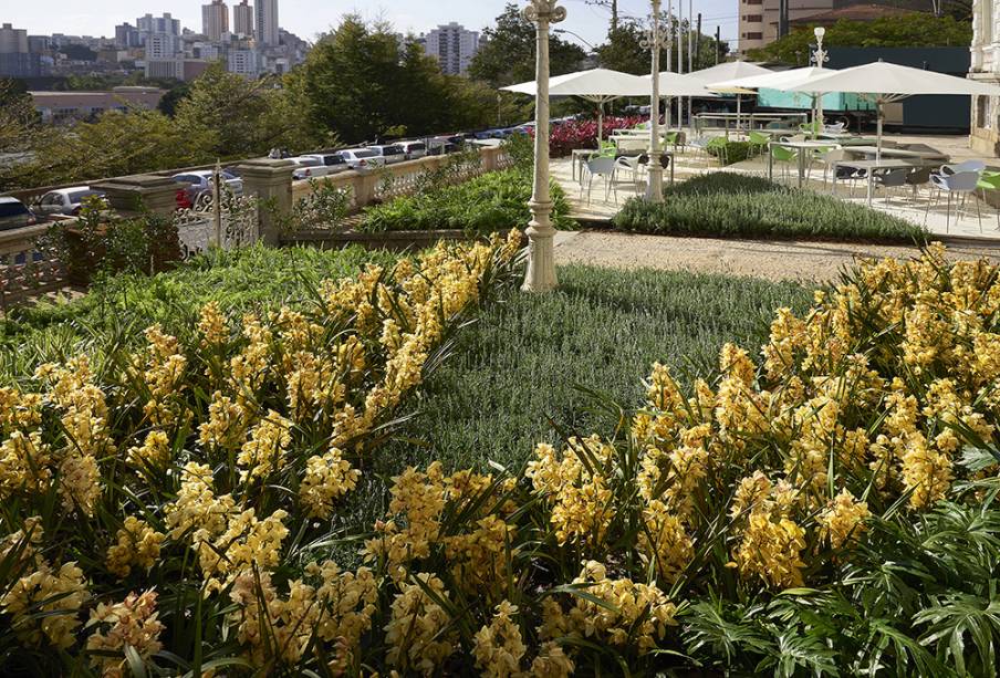 CASACOR Minas Gerais 2017 – Jardins da Entrada - Carla Pimentel e Marina Pimentel. As plantas poderiam possuir no máximo 80 cm de altura, entre outras regras observadas ao intervir em um patrimônio tombado. Nada que intimidasse a dupla, que pensou na composição colorida e aromática de folhagens, laranjinha Kinkan, Manjericão, Lavanda e outras espécies.