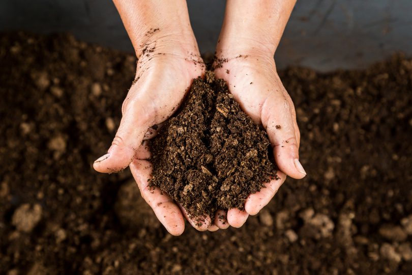 bigstock-Close-Up-Hand-Holding-Soil-Pea-99535259-810×540 Aprenda a fazer compostagem