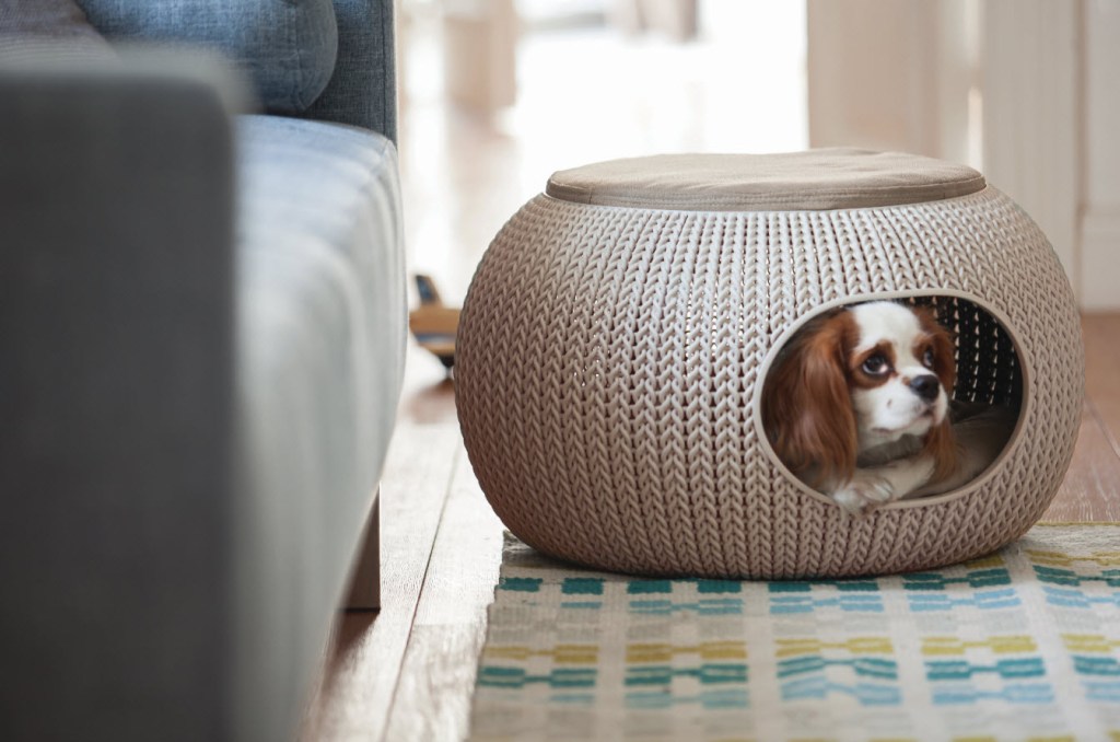 s- PET KNIT CAMA PUFF_KETER pets