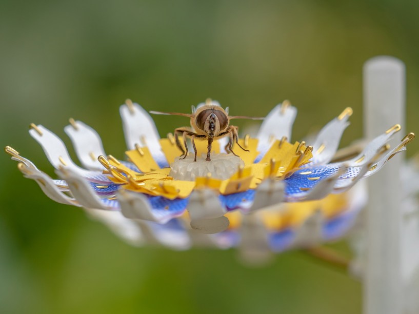 <strong>Ventura Future</strong>. Matilde Boelhouwer exibirá o seu projeto <strong>Food for Buzz</strong>, que consiste em uma série de flores artificiais, que transformam a chuva em água com açúcar, para servir como fonte de alimento de emergência para os polinizadores de insetos que habitam a cidade.