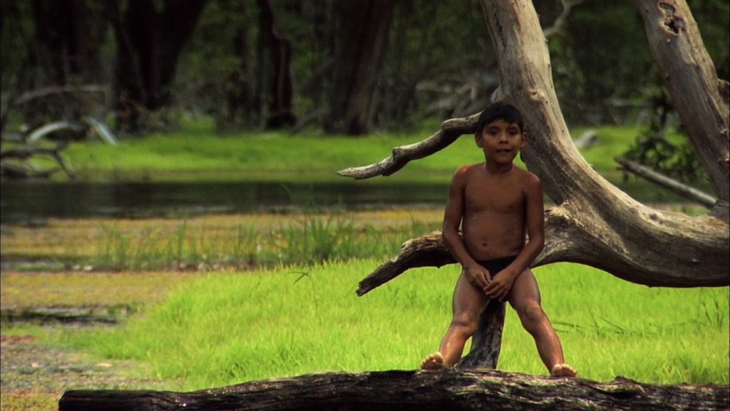 Cópia de menino amazonia Mara Mourão