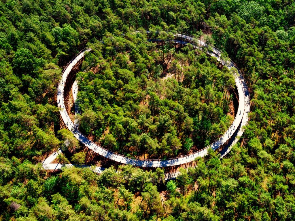 Vista aérea da ciclovia no meio da floresta na Bélgica.