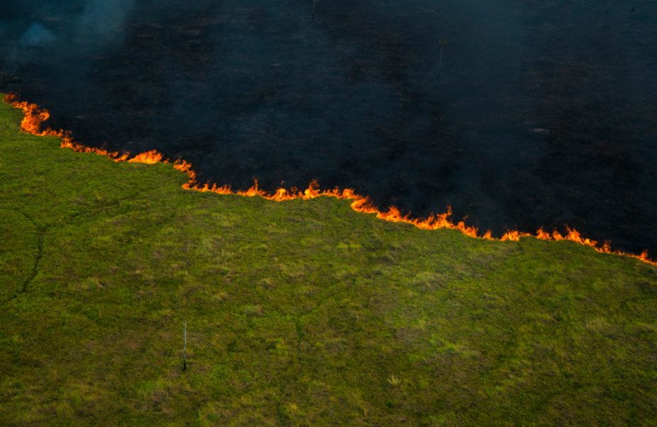 Documenta Pantanal. João Farkas - “Linha de fogo”, da série “Pantanal”, 2019.