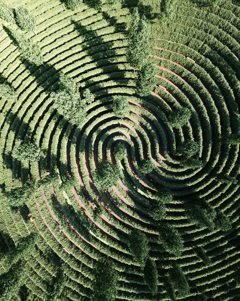 Imagem renderizada aérea do centro da espiral com algumas árvores