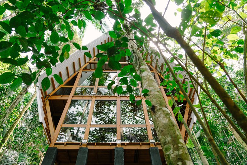 Casa dos Macacos 12 Visão debaixo da Casa dos Macacos em Paraty