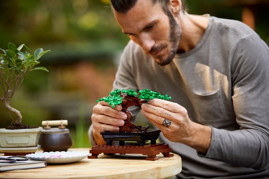 Lego 9 Coleção Botânica do Lego; destinado aos adultos; feitos de bioplásticos