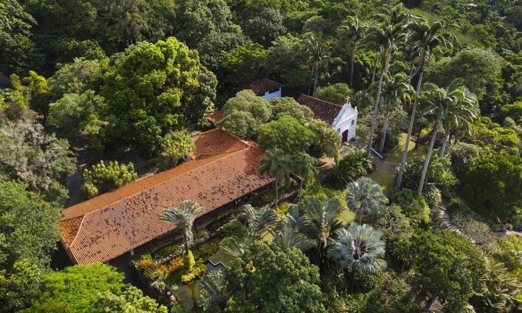 requalificacao-burle-marx-casacor-5 burle marx sitio roberto burle marx paisagismo noticia reabertura vegetação rio de janeiro