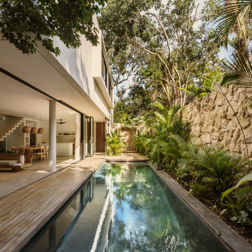casa-areca-co-lab-mexico-4 casa areca co-lab tulum méxico arquitetura jardim