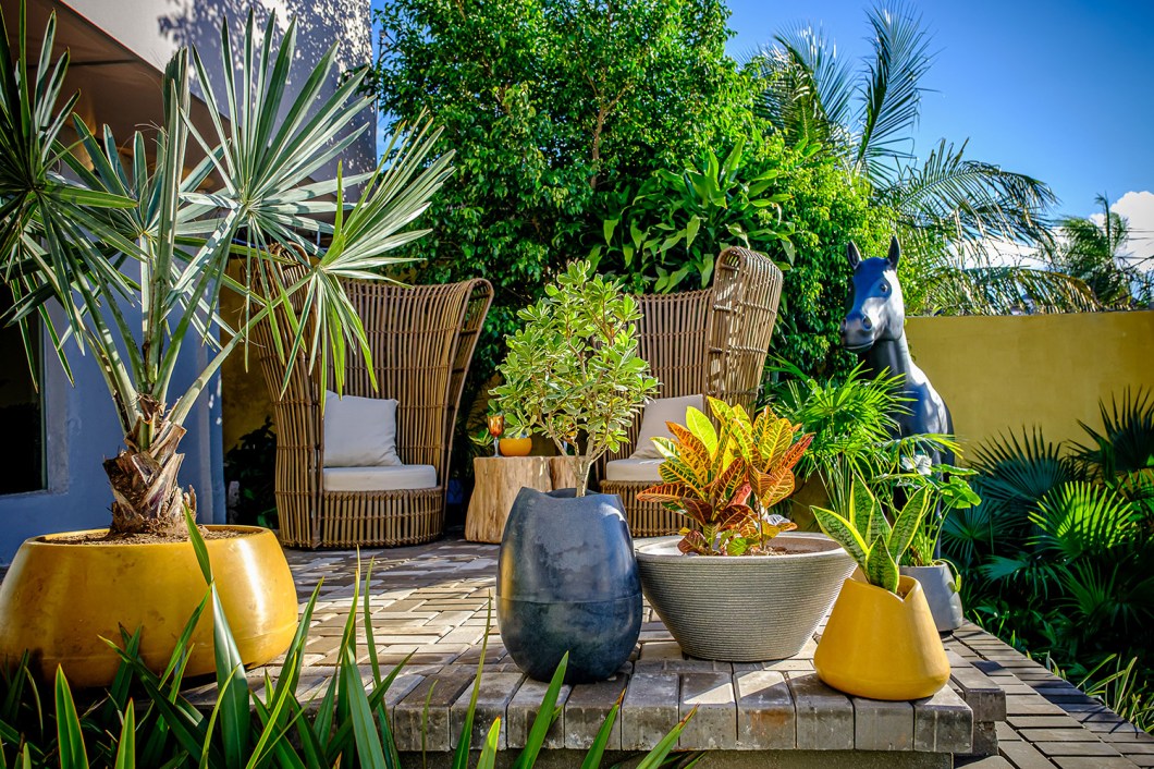 Jardín Karai - Ana Villagomez e Moisés Villagomez. Em 28 m², os profissionais se inspiraram nos pátios dos casarões e seus jardins para resgatar a conexão entre o homem e a natureza. Para isso, utilizaram técnicas de construção tradicionais aliadas a materiais e elementos decorativos contemporâneos, como vasos de flores e móveis. O espaço convida à contemplação de uma variedade de plantas, de uma escultura e do ar puro da cidade. Jardín Karai - Ana Villagomez e Moisés Villagomez. Em 28 m², os profissionais se inspiraram nos pátios dos casarões e seus jardins para resgatar a conexão entre o homem e a natureza. Para isso, utilizaram técnicas de construção tradicionais aliadas a materiais e elementos decorativos contemporâneos, como vasos de flores e móveis. O espaço convida à contemplação de uma variedade de plantas, de uma escultura e do ar puro da cidade.