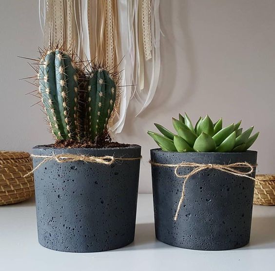 cactos-em-vasos vasinhos com cactos
