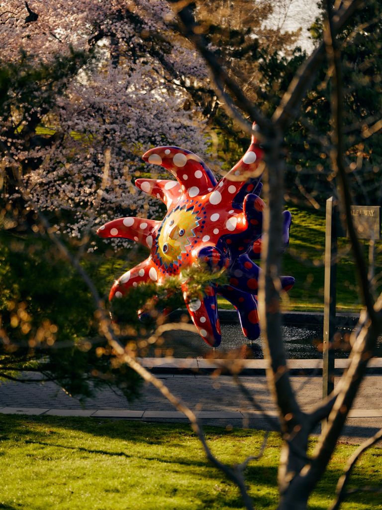 Yayoi Kusama expõe sua arte pop e conceitual em NY