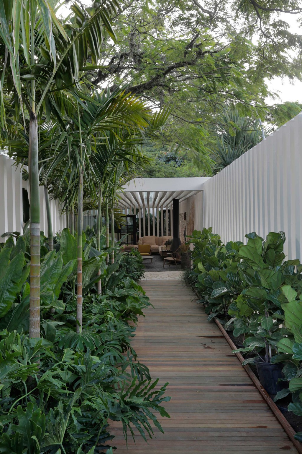 otto-felix-casa-das-sibipirunas-casacor-sao-paulo-2019 otto felix casa das sibipirunas jardim