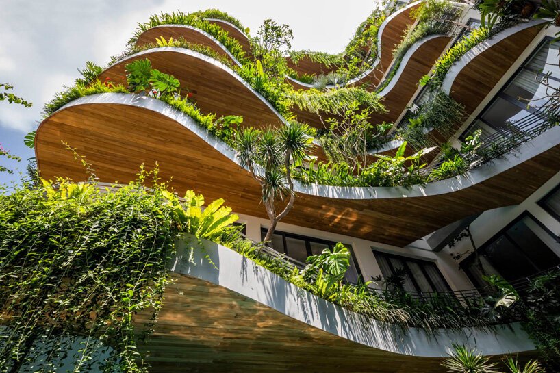 city-oasis-apartments-k-a-studio-vietnam-designboom-3 prédio no vietnã com plantas em queda