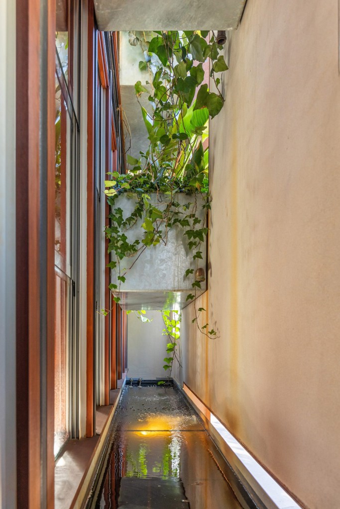 lago-para-peixes-welcome-to-the-jungle-house Lago para peixes comestíveis na Welcome to the jungle house