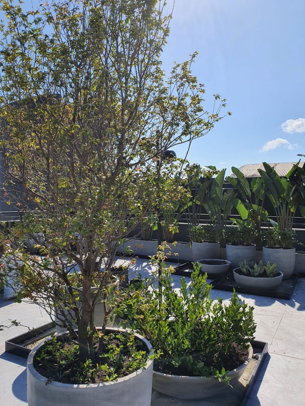Ana-Trevisan-Rooftop-casacor-santa-catarina-florianopolis-2021 Ana-Trevisan-Rooftop-casacor-santa-catarina-florianopolis-2021