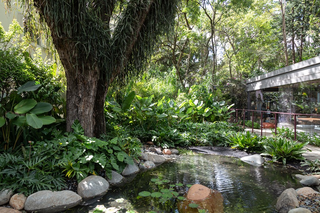 Brasil de Origem. Kalil Ferre Paisagismo - CASACOR São Paulo 2018