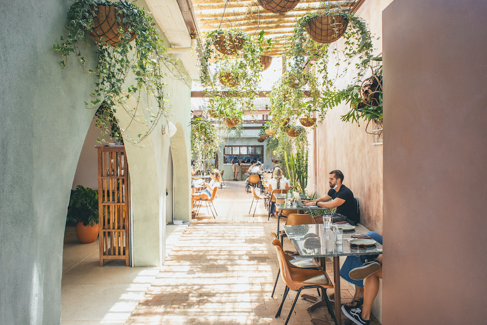 botanikafe-pinheiros bar; restaurante; são paulo; centro; brinks; vista; jardim