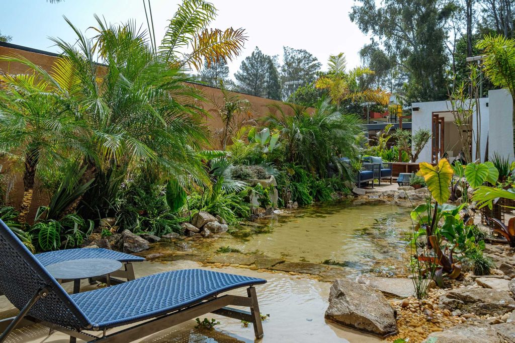 Horto Laguna Rafael Mineiro Natália Azevedo CASACOR Minas Gerais 2021 lago natural deque plantas tropicais poltronas jardim paisagismo