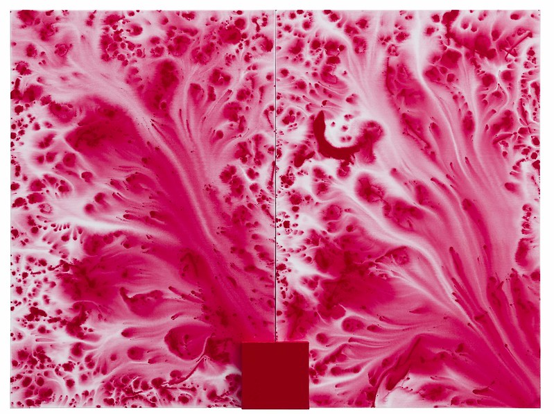 51607147218_d0f2652885_c Antônio Dias, Vermelho (2016). Paulo Darzé Galeria.