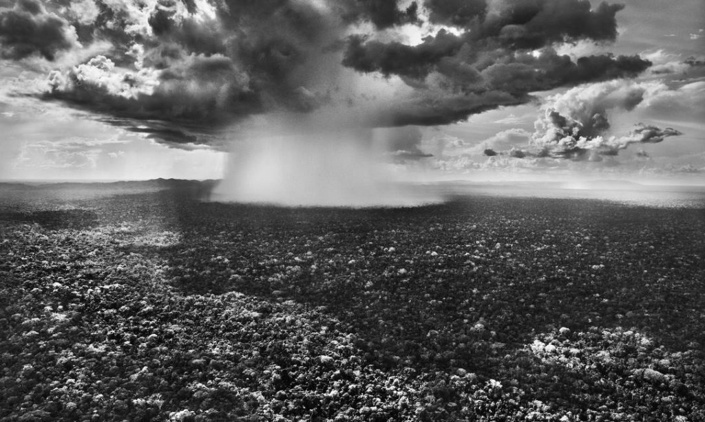 amazonia-sebastiao-salgado Salgado