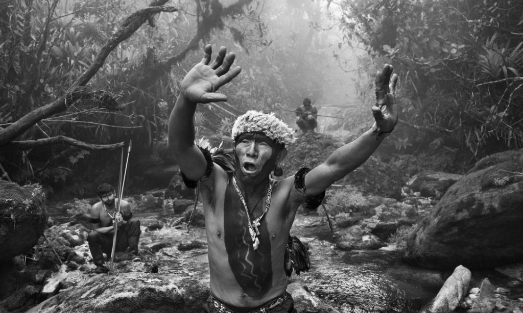 floresta-amazonica-exposicao Salgado