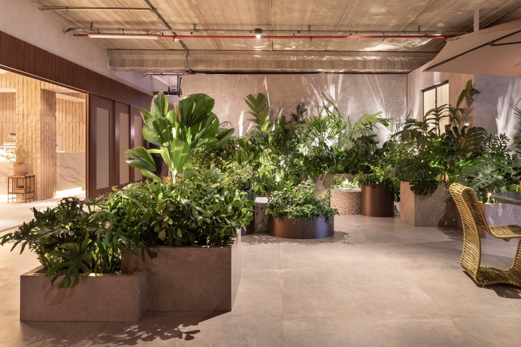 KalilFerre Paisagismo – Meu Verde Particular. KalilFerre Paisagismo - Meu Verde Particular, projeto da CASACOR São Paulo 2021.