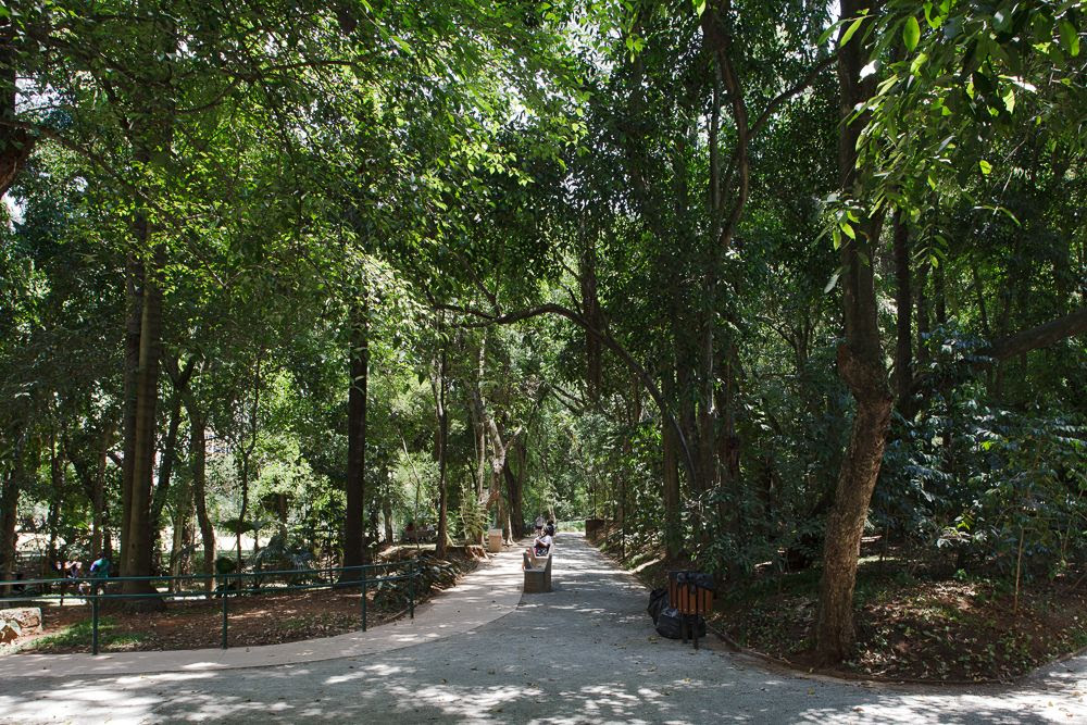 unnamed (3) Parque Augusta
