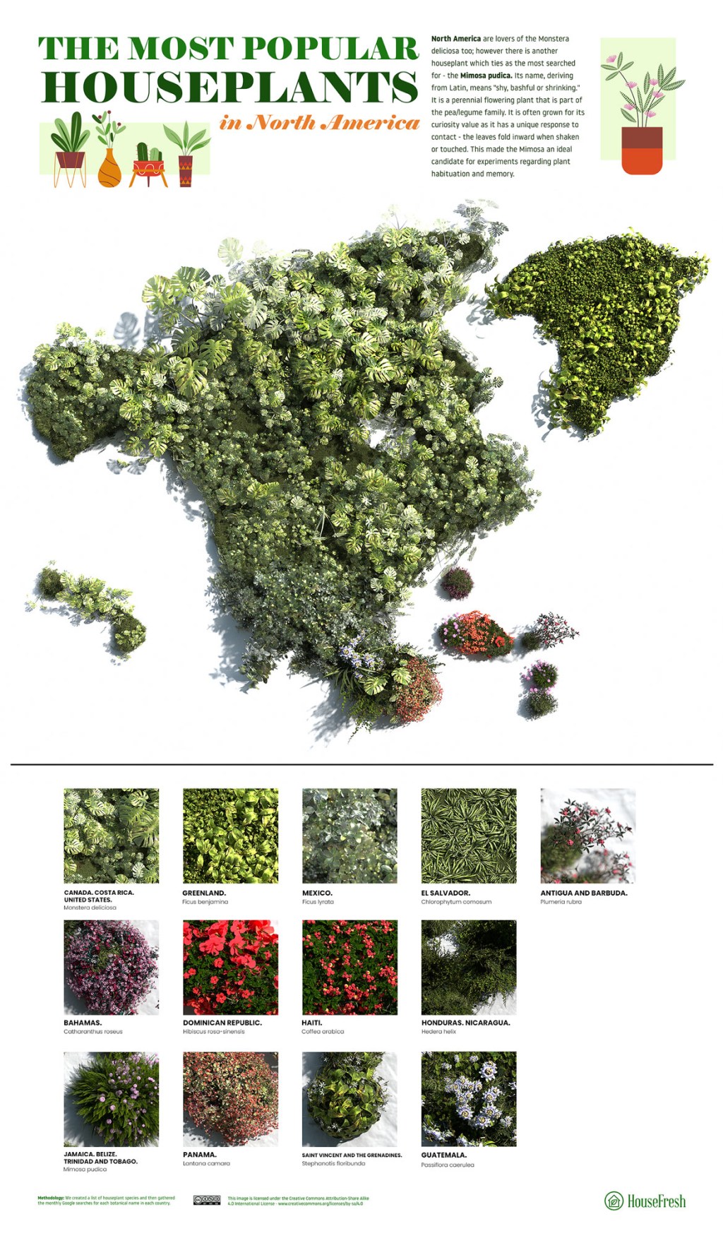 As-plantas-mais-populares-para-se-ter-em-casa-através-do-mundo-America-do-Norte As espécies plantas mais populares para se ter em casa dos países do mundo todo
