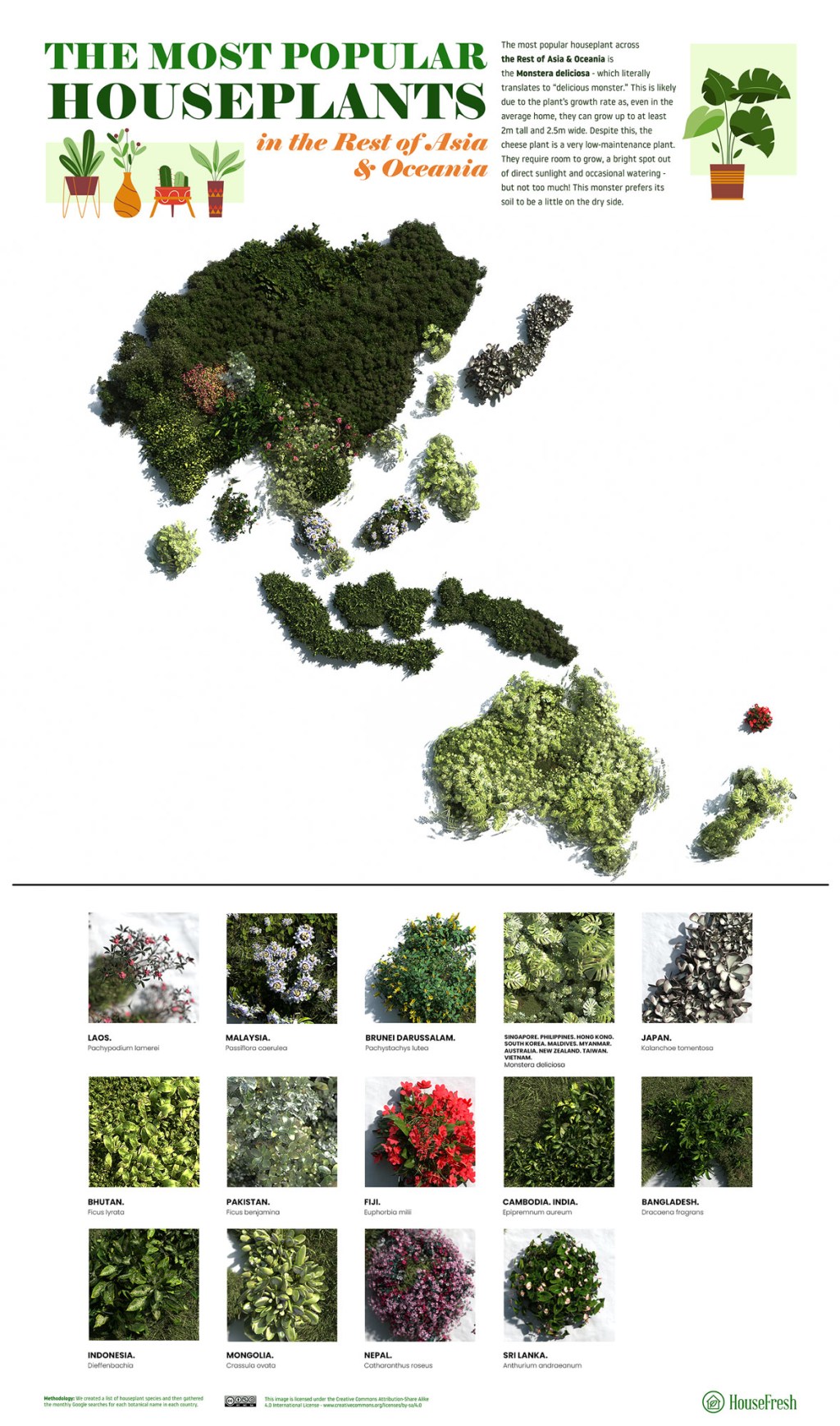 As-plantas-mais-populares-para-se-ter-em-casa-através-do-mundo-Asia-Oriental-e-Oceania As espécies plantas mais populares para se ter em casa dos países do mundo todo