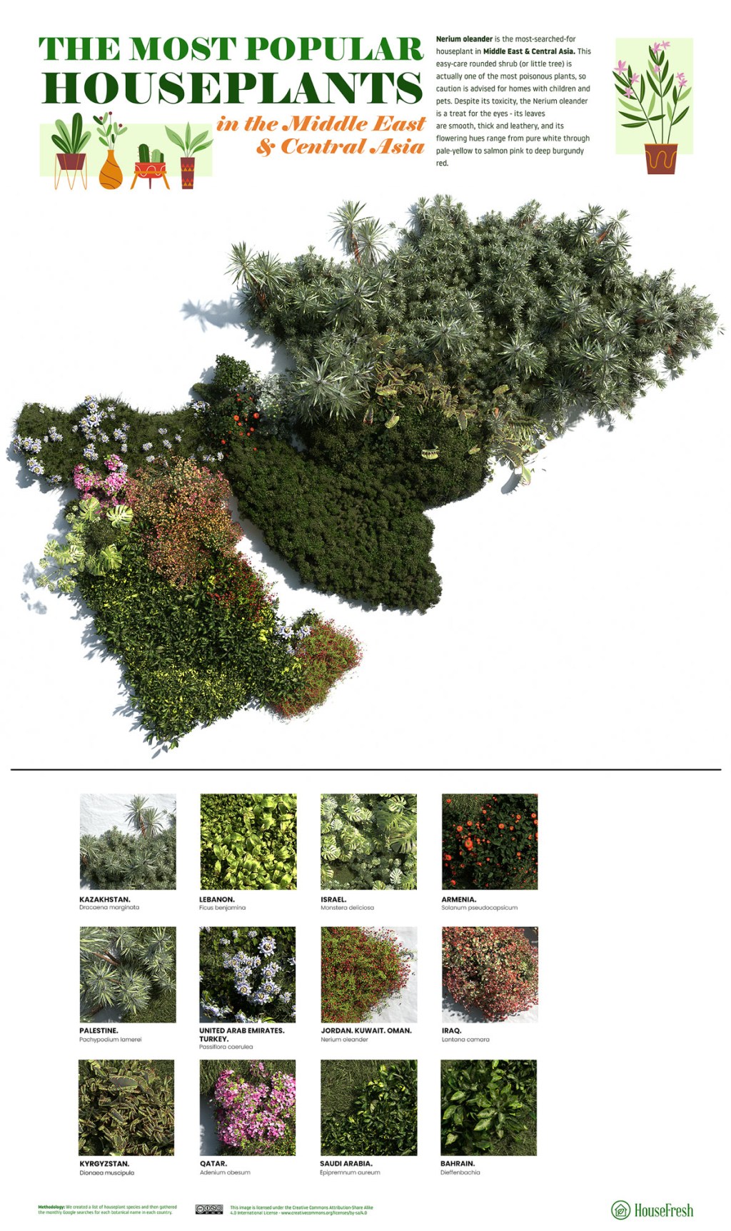 As-plantas-mais-populares-para-se-ter-em-casa-através-do-mundo-Oriente-Medio-e-Asia-Ocidental As espécies plantas mais populares para se ter em casa dos países do mundo todo