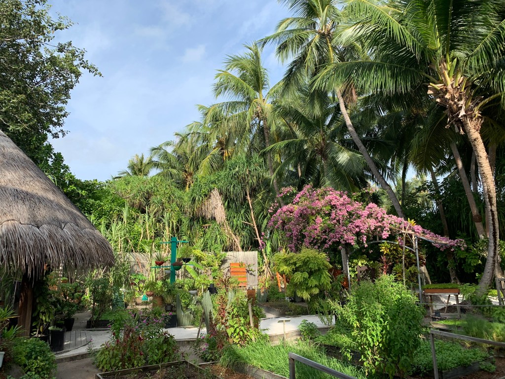 02_Anantara Kihavah Maldives Villas – Organic Garden Anantara Kihavah; Maldivas; arquitetura; paisagismo