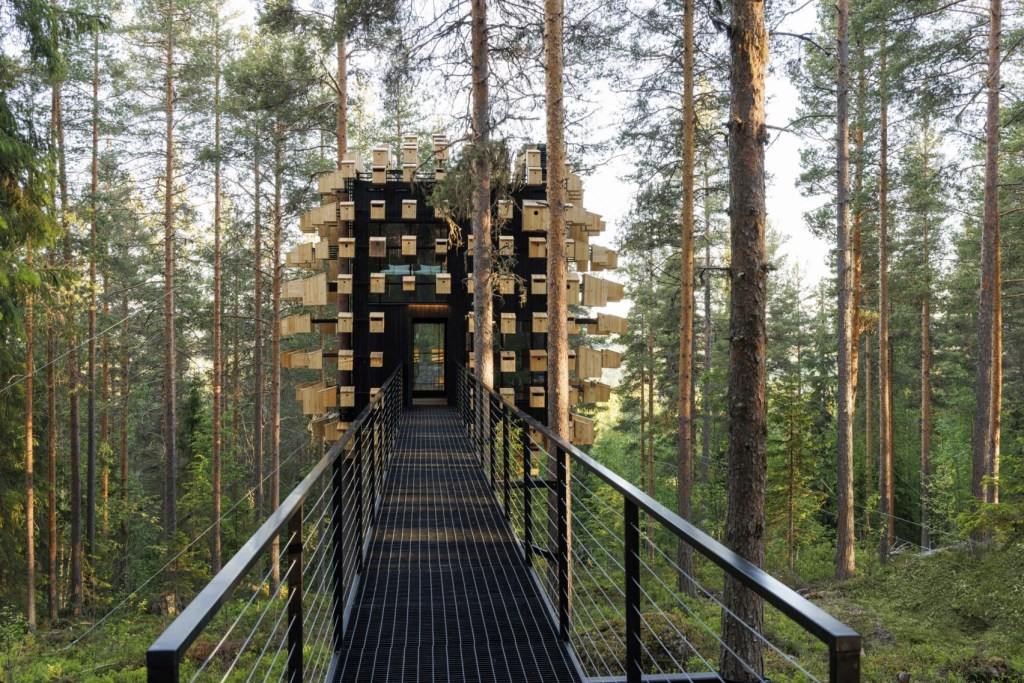 big-treehouse-hotel-bird-houses-biosphere_dezeen_2364_col_13-1704×1137 Big Treee House - Hotel