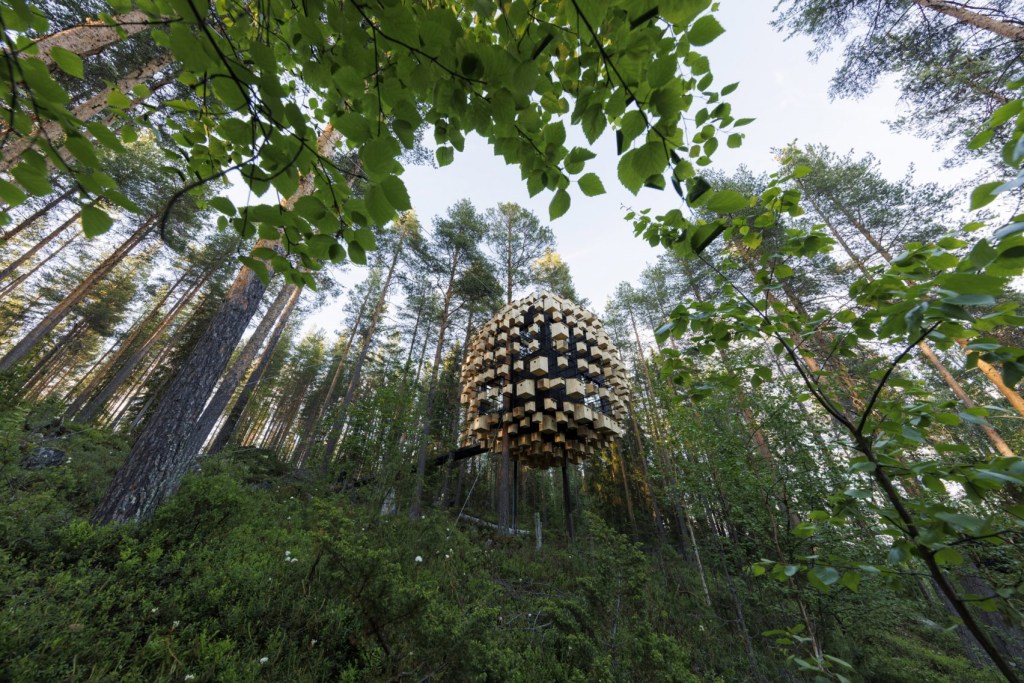 big-treehouse-hotel-bird-houses-biosphere_dezeen_2364_col_15-1704×1137 Big Treee House - Hotel
