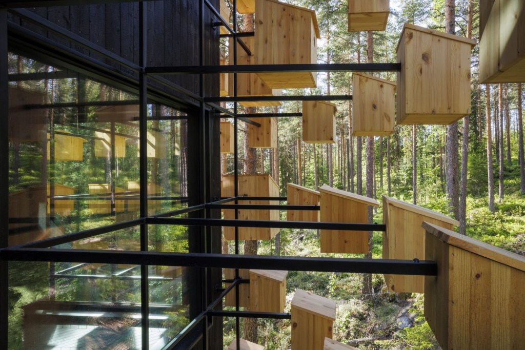 big-treehouse-hotel-bird-houses-biosphere_dezeen_2364_col_9-1704×1137 Big Treee House - Hotel