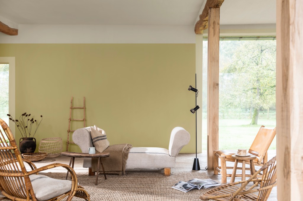 Dulux-Colour-Futures-Colour-of-the-Year-2023-Raw-Colours-LivingRoom-Inspiration-Global-81P Paleta