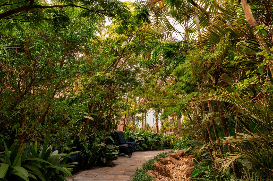 Spagnhol Paisagismo - Jardim Tropical. Projeto da CASACOR Ribeirão Preto 2022. Spagnhol Paisagismo - Jardim Tropical. Projeto da CASACOR Ribeirão Preto 2022.