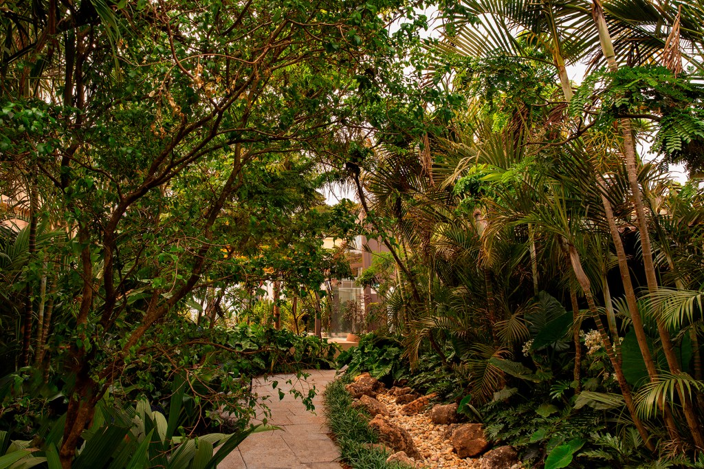 spagnhol-paisagismo-jardim-tropical-casacor-ribeirao-preto-2022-credito-felipe-araujo (1) Spagnhol Paisagismo Jardim Tropical CASACOR Ribeirão Preto 2022 paisagismo