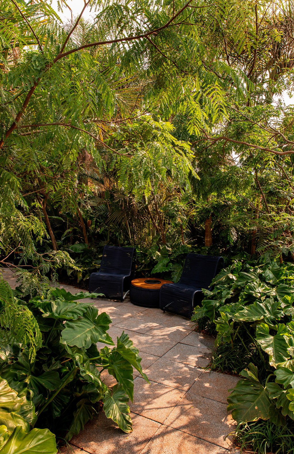 spagnhol-paisagismo-jardim-tropical-casacor-ribeirao-preto-2022-credito-felipe-araujo (2) Spagnhol Paisagismo Jardim Tropical CASACOR Ribeirão Preto 2022 paisagismo