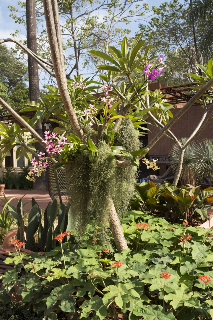 Bruno Ary Praça Infinito Particular CASACOR Ceará 2022 jardim paisagismo fachada