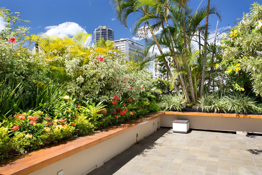 terraco-ganha-paisagismo-com-plantas-altas-para-criar-privacidade (3) Terraço paisagismo plantas altas Anna Luiza Rothier jardim jardineira