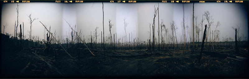 unnamed (45) Brasil x Argentina (Amazônia e Patagônia), de Dora Longo Bahia. 2017. Coleção de Fotografia Contemporânea