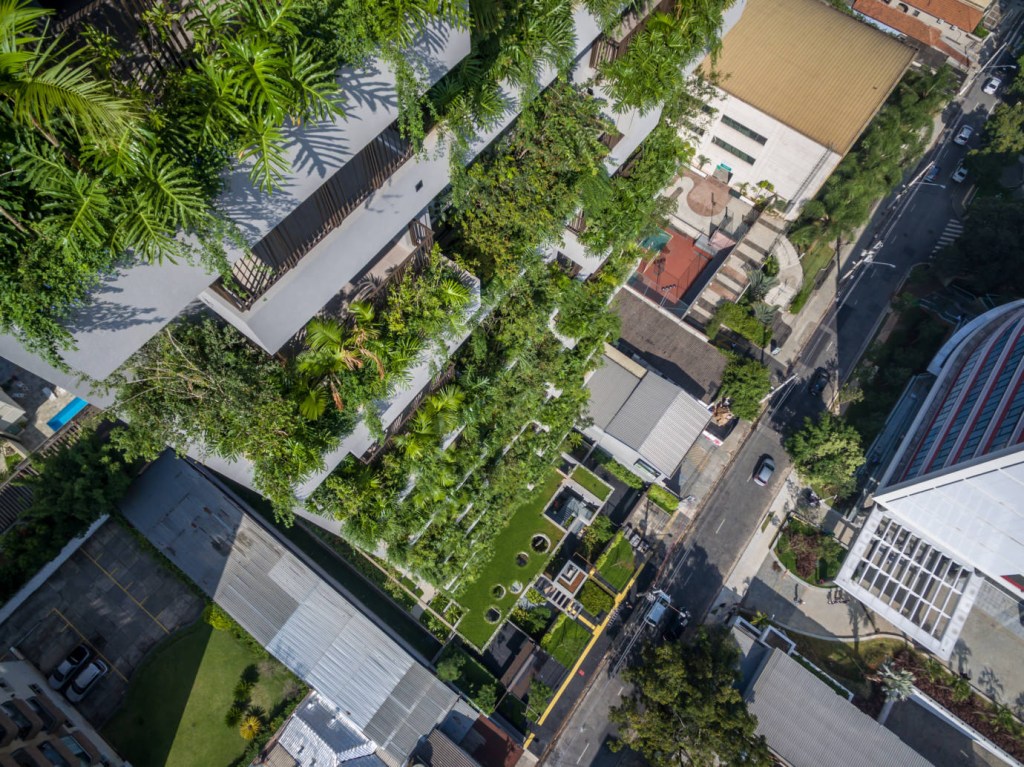 Floresta-vertical-Projeto-de-paisagismo-Cardim-Arquitetura-Paisagistica-ed.-SEED-creditos-de-fotografia-Gamaro-20 Paisagismo regenerativo é fundamental para a manutenção do ecossistema local