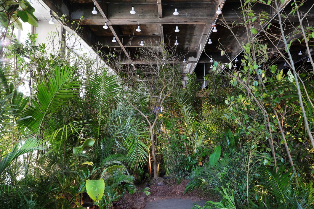 Cardim Arquitetura Paisagística - Banho de Floresta. Folhas caídas pelo chão, ar fresco, cheiro de terra e uma vegetação rica em cores, aromas, texturas e formatos: o ambiente de 163 m² criado pela arquiteta Alessandra Caiado Cardim e pelo botânico Ricardo Cardim proporciona a sensação de adentrar a mata, densa e cheia de vida. Mais do que oferecer um respiro, porém, o projeto é o desfecho do manifesto iniciado no outro espaço da dupla na mostra deste ano, localizado na entrada da CASACOR — um chamado para conhecer e abraçar a diversidade da flora nativa brasileira. Os bancos de madeira de demolição são do designer Paulo Alves. Cardim Arquitetura Paisagística - Banho de Floresta. Folhas caídas pelo chão, ar fresco, cheiro de terra e uma vegetação rica em cores, aromas, texturas e formatos: o ambiente de 163 m² criado pela arquiteta Alessandra Caiado Cardim e pelo botânico Ricardo Cardim proporciona a sensação de adentrar a mata, densa e cheia de vida. Mais do que oferecer um respiro, porém, o projeto é o desfecho do manifesto iniciado no outro espaço da dupla na mostra deste ano, localizado na entrada da CASACOR — um chamado para conhecer e abraçar a diversidade da flora nativa brasileira. Os bancos de madeira de demolição são do designer Paulo Alves.