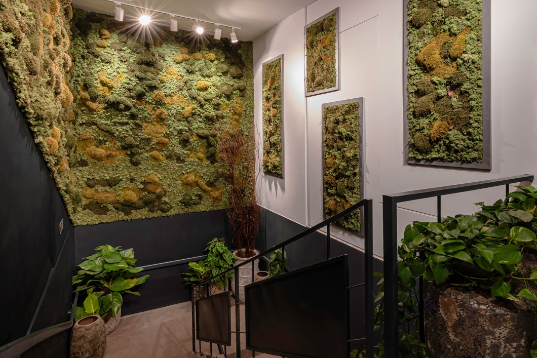 Thiago Zoller - Galeria Verde. A galeria é um espaço onde o ser humano pode se reconectar com a natureza por meio da arte. Composta por musgo preservado, uma planta que cresce na região da Noruega e passa por um processo de preservação que mantém as características da espécie vivas, mas sem as necessidades vegetativas de luz e água. Aqui, o visitante é convidado a contemplar e a sentir a arte de uma forma profunda e inspiradora, levando consigo um pouco da beleza da natureza para a sua vida cotidiana. Thiago Zoller - Galeria Verde. A galeria é um espaço onde o ser humano pode se reconectar com a natureza por meio da arte. Composta por musgo preservado, uma planta que cresce na região da Noruega e passa por um processo de preservação que mantém as características da espécie vivas, mas sem as necessidades vegetativas de luz e água. Aqui, o visitante é convidado a contemplar e a sentir a arte de uma forma profunda e inspiradora, levando consigo um pouco da beleza da natureza para a sua vida cotidiana.