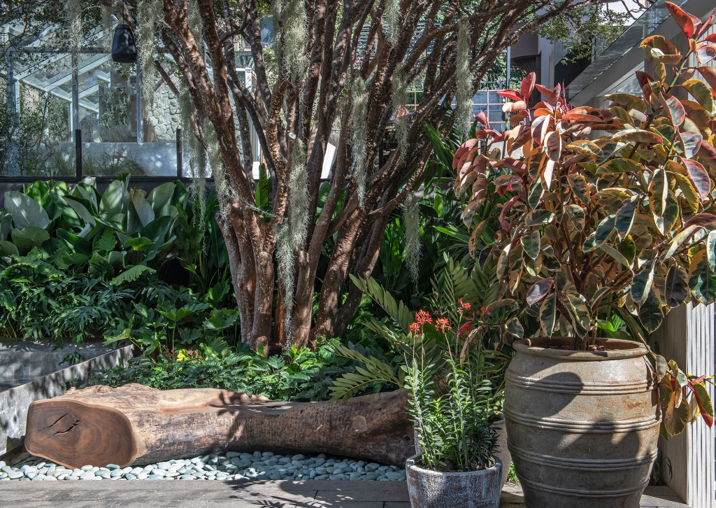 Flávia D´Urso – Jardim ARUM Flávia D´Urso - Jardim ARUM. Projeto da CASACOR Minas Gerais 2023. NA foto, paisagismo no jardim banco de madeira e vasos.