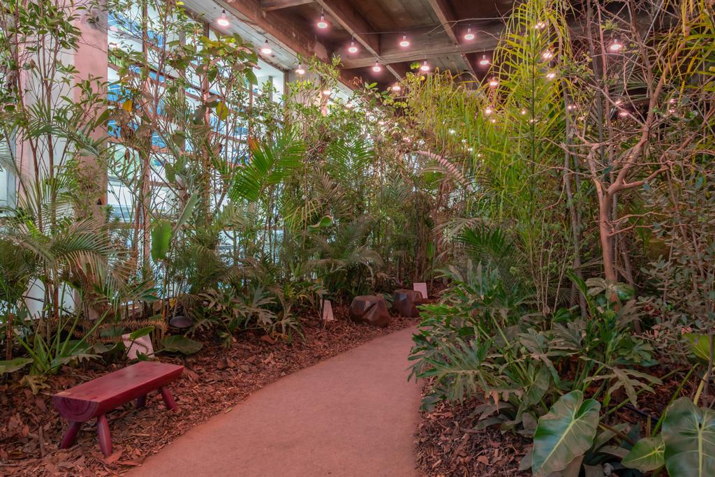 banho de luz, fotossíntese induzida, casacor são paulo