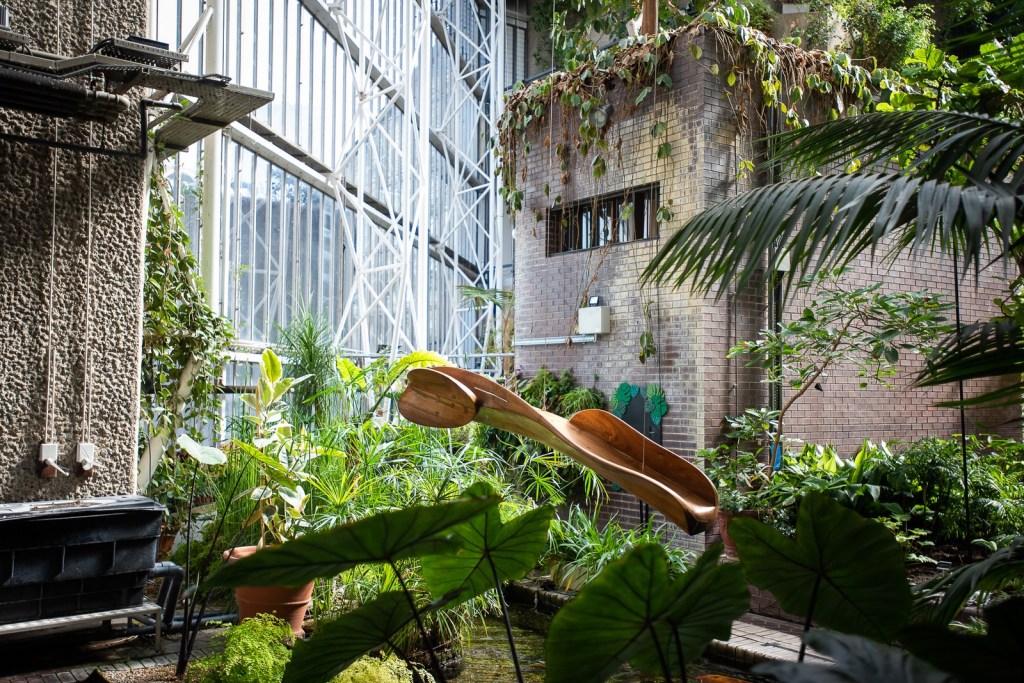 3. Ranjani Shettar, Above the crest, 2023. Installation view of Ranjani Shettar Cloud songs on the horizon, Barbican Conservatory 2023. Courtesy Barbi esculturas Ranjani Shettar londres