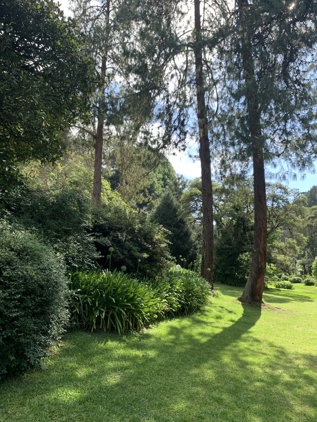 Parque Bambuí em Campos doJordão