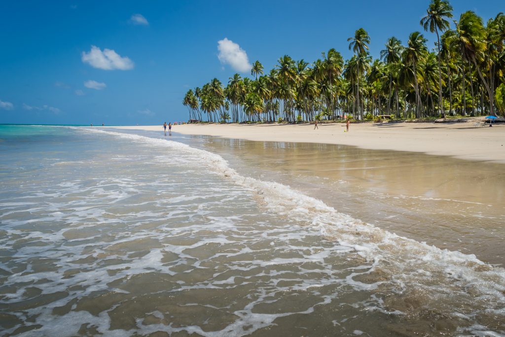 Praia dos Carneiros Porto de Galinhas